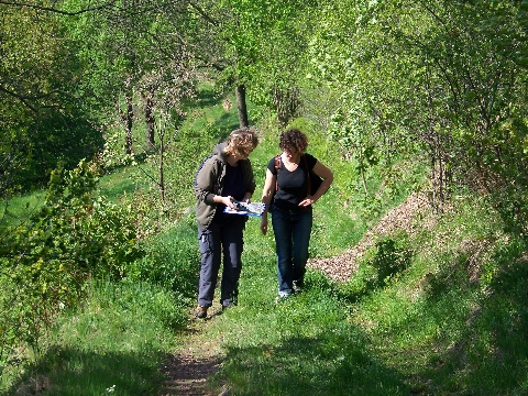 Aufsuche von Wildapfelbäumen